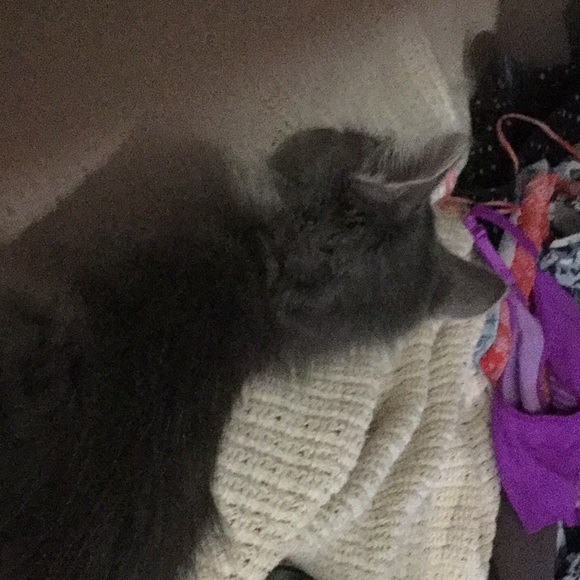 Meet your Posher, Beth - Picture 1 of 1